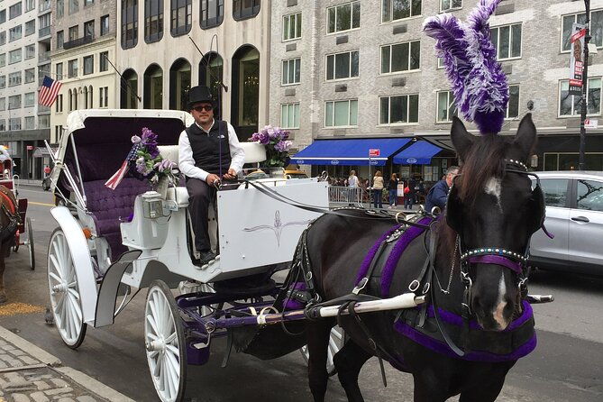 nyc-central-park-horse-and-carriage-ride-long-ride-45-min