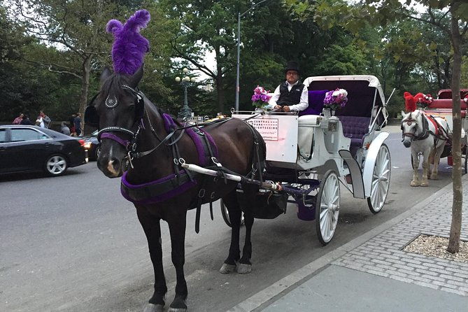 nyc-central-park-horse-and-carriage-ride-long-ride-45-min
