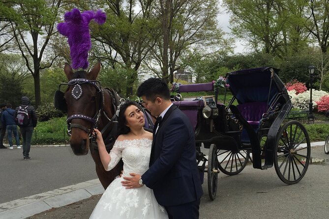nyc-central-park-horse-and-carriage-ride-long-ride-45-min