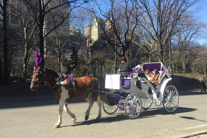 nyc-central-park-horse-and-carriage-ride-long-ride-45-min