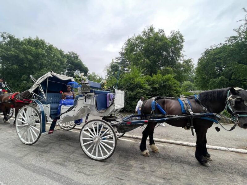 nyc-central-park-horse-and-carriage-ride