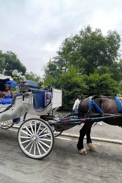 nyc-central-park-horse-and-carriage-ride