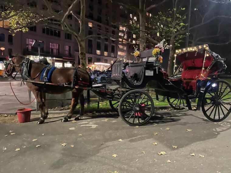 nyc-central-park-horse-and-carriage-ride