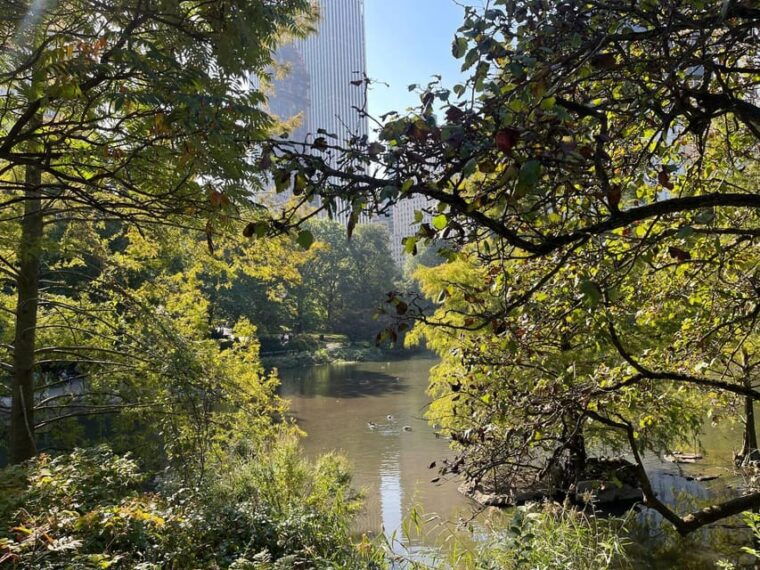 nyc-central-park-horse-and-carriage-ride