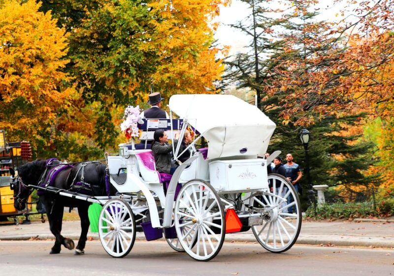 nyc-central-park-horse-drawn-carriage-ride-up-to-4-adults