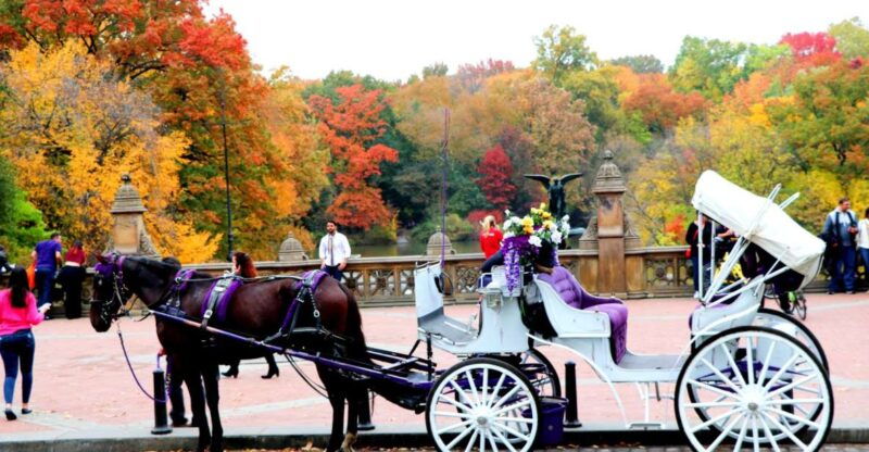 nyc-central-park-horse-drawn-carriage-ride-up-to-4-adults