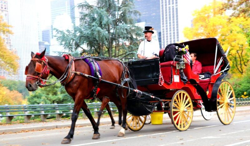 nyc-central-park-horse-drawn-carriage-ride-up-to-4-adults
