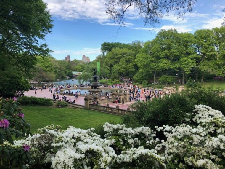 nyc-central-park-horse-drawn-carriage-ride-up-to-4-adults