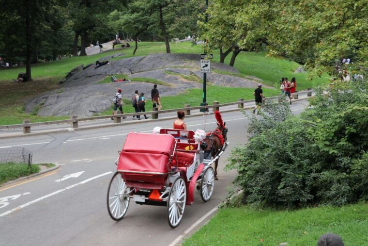 nyc-central-park-horse-drawn-carriage-ride-up-to-4-adults
