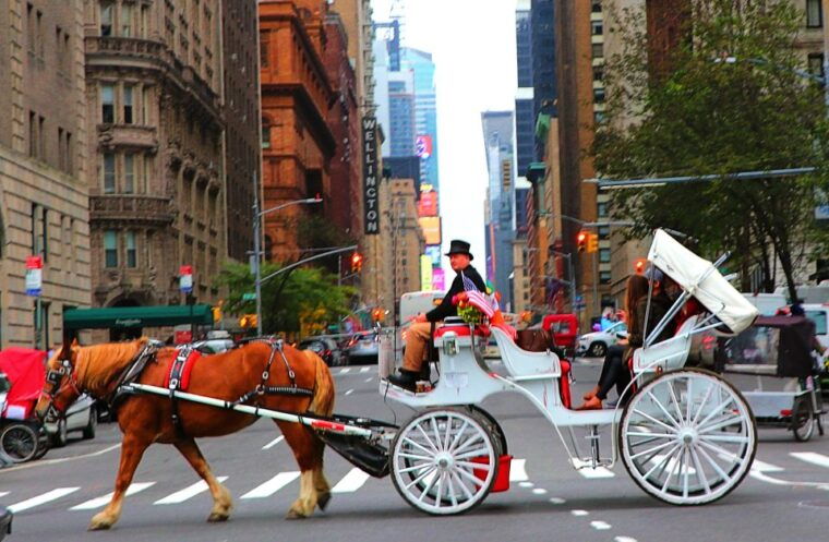 nyc-central-park-horse-drawn-carriage-ride-up-to-4-adults