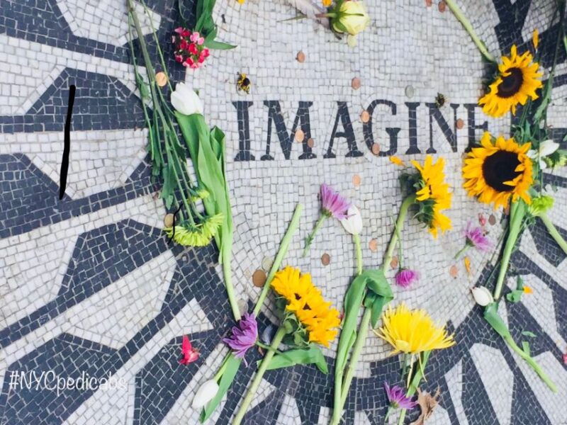 nyc-central-park-pedicab-highlights-tour