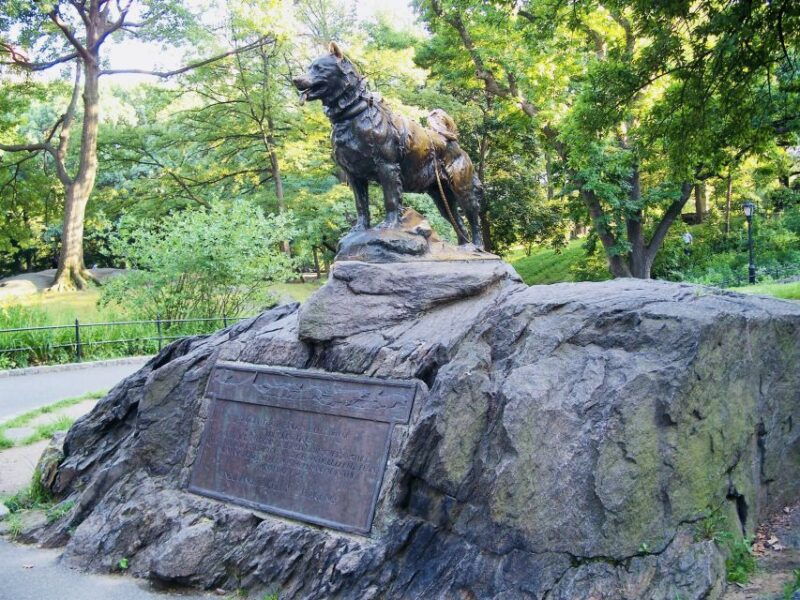 nyc-central-park-pedicab-highlights-tour