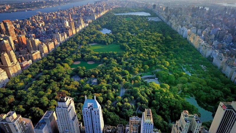 nyc-central-park-pedicab-tours