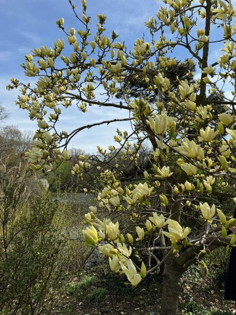 nyc-central-park-pedicab-tours