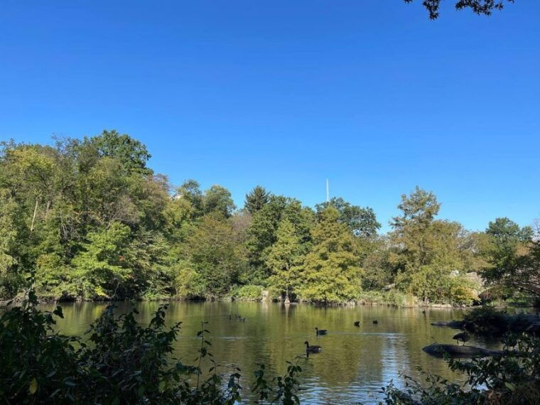 nyc-central-park-pedicab-tours