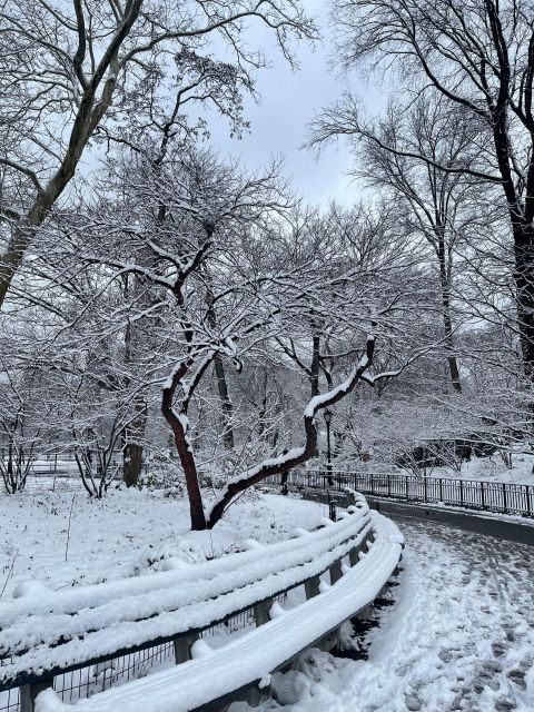nyc-central-park-pedicab-tours