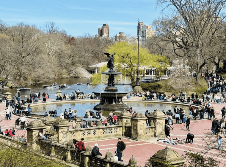 nyc-central-park-rickshaw-tour-private-and-guided