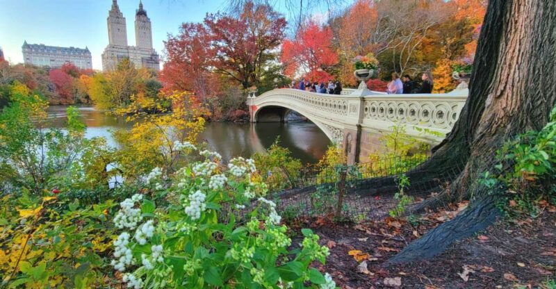 nyc-central-park-secrets-and-highlights-walking-tour