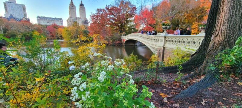 nyc-central-park-secrets-and-highlights-walking-tour