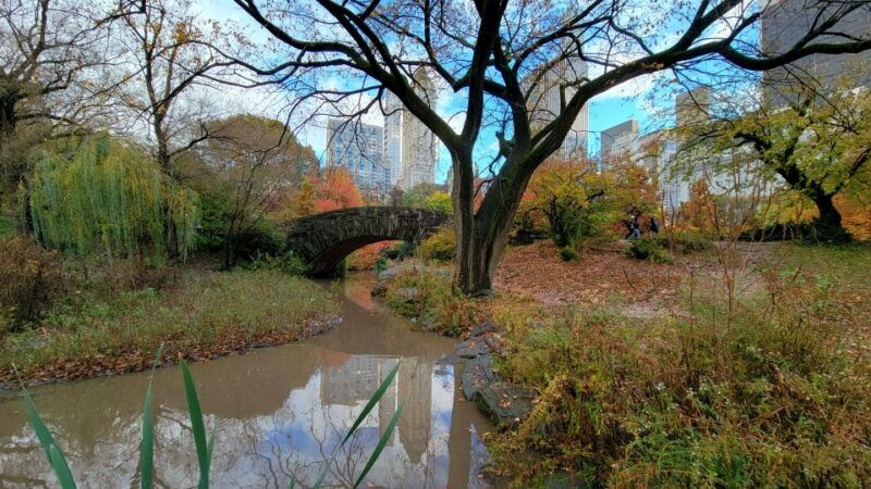 nyc-central-park-secrets-and-highlights-walking-tour