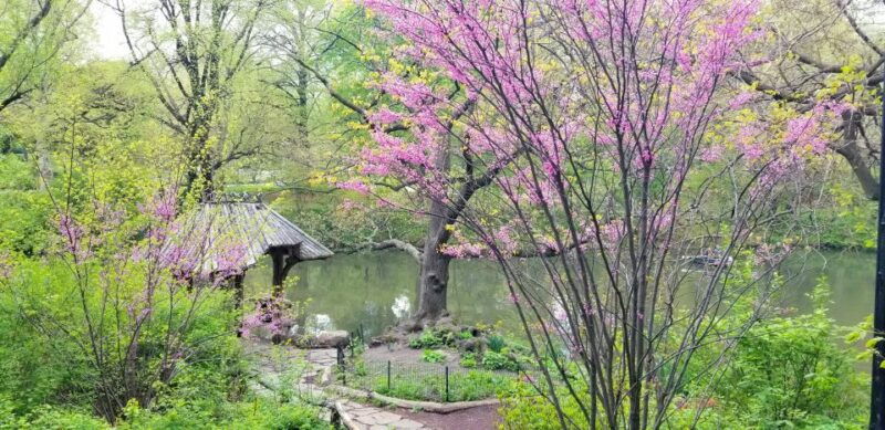 nyc-central-park-secrets-and-highlights-walking-tour