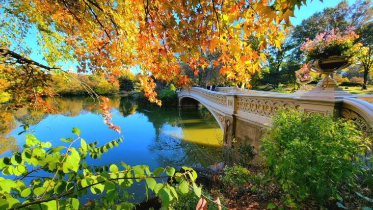 nyc-central-park-secrets-and-highlights-walking-tour