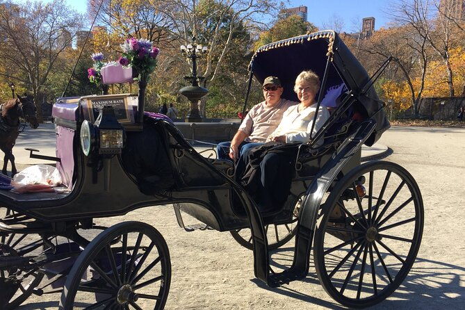 nyc-central-park-vip-horse-and-carriage-ride