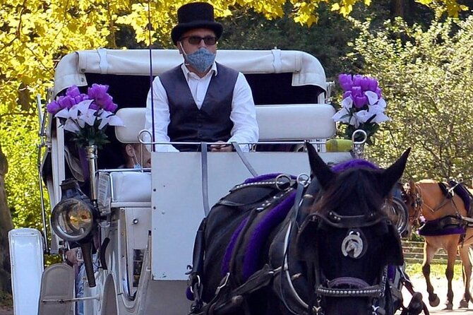 nyc-central-park-vip-horse-and-carriage-ride