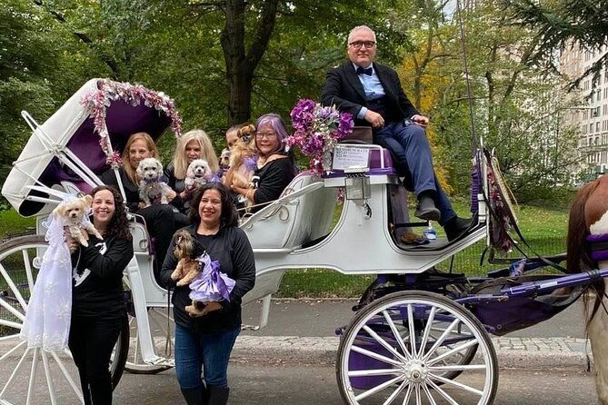 nyc-central-park-vip-horse-and-carriage-ride