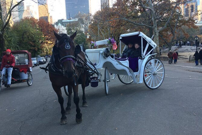 nyc-central-park-vip-horse-and-carriage-ride