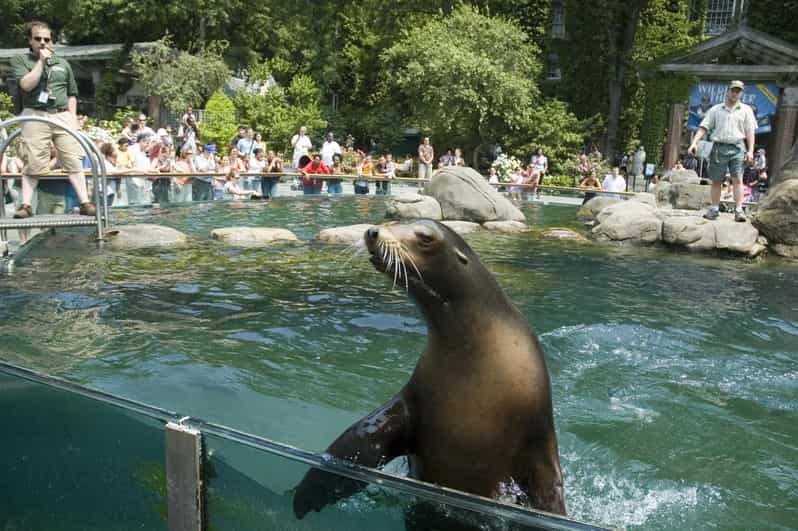 NYC: Central Park Zoo Entry Ticket & Manhattan Walking Tour - Discover NYC’s Highlights with a Walking Tour and Central Park Zoo Visit
