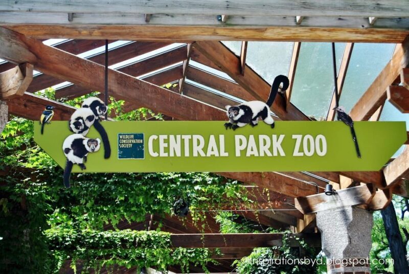 NYC: Central Park Zoo Entry Ticket & Manhattan Walking Tour - Who Should Book This Tour?