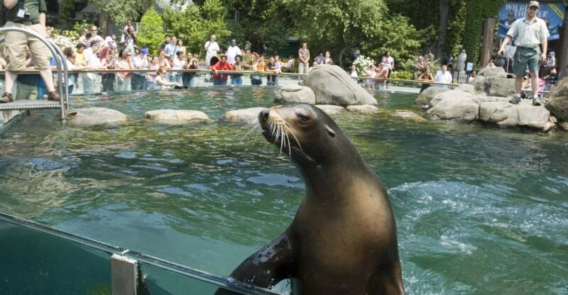 NYC: Central Park Zoo Entry Ticket & Manhattan Walking Tour - Final Thoughts