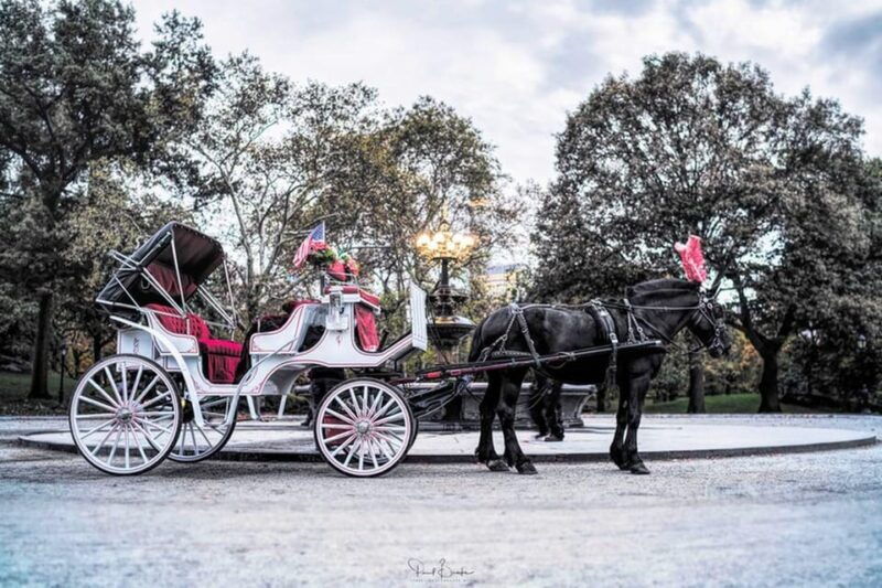 nyc-christmas-lights-carriage-ride