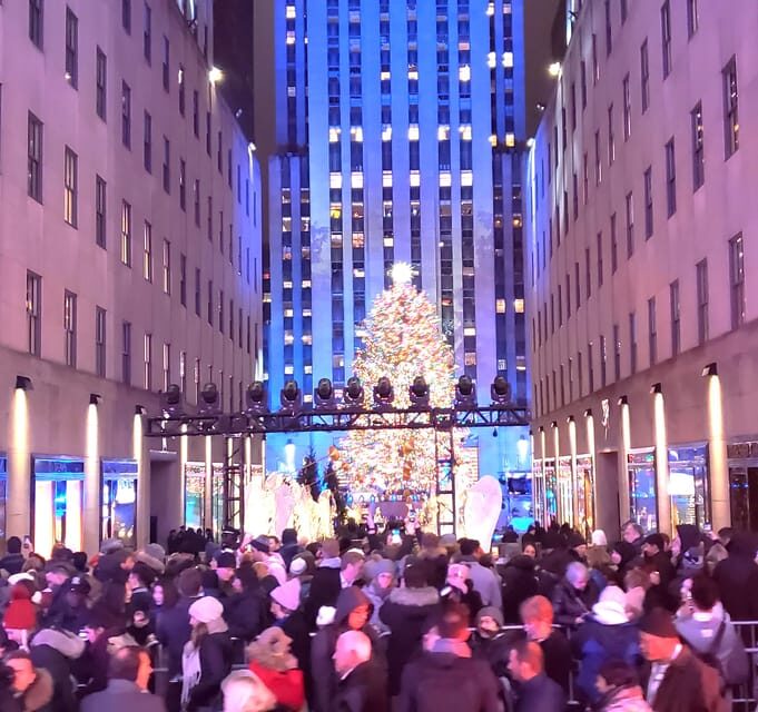 NYC: Christmas Lights Horse Carriage Ride - What to Expect on the Tour