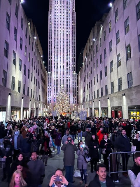 NYC: Christmas Lights Horse Carriage Ride - Analyzing the Value for Money