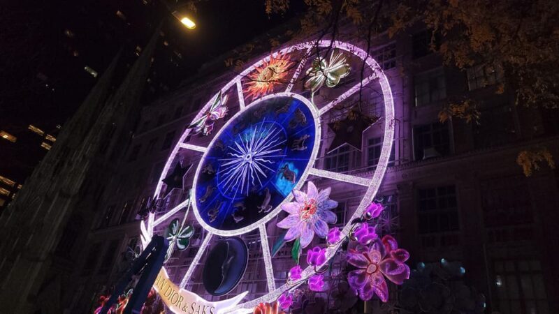 NYC: Christmas Lights Horse Carriage Ride - Practical Details and Tips