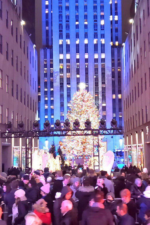 NYC: Christmas Lights Horse Carriage Ride - Who Should Consider This Experience?