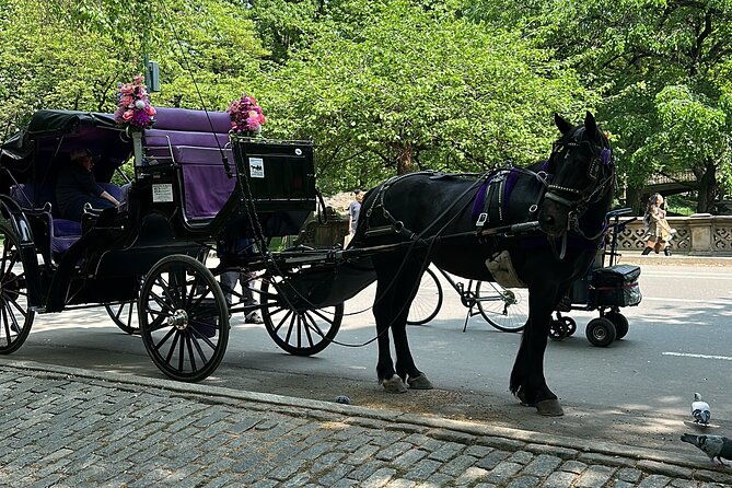 nyc-empire-state-horses-carriage-ride-in-central-park-45-mins-2