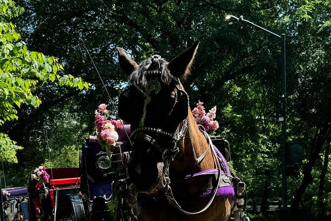 nyc-empire-state-horses-carriage-ride-in-central-park-45-mins-2