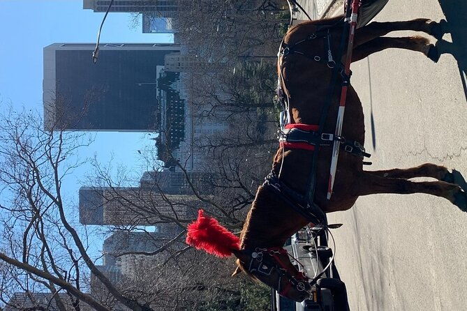 nyc-empire-state-horses-carriage-ride-in-central-park-45-mins