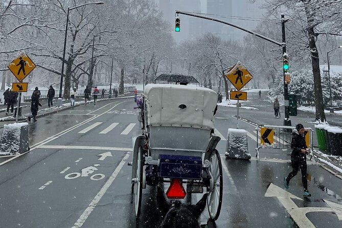 nyc-empire-state-horses-carriage-ride-in-central-park-45-mins