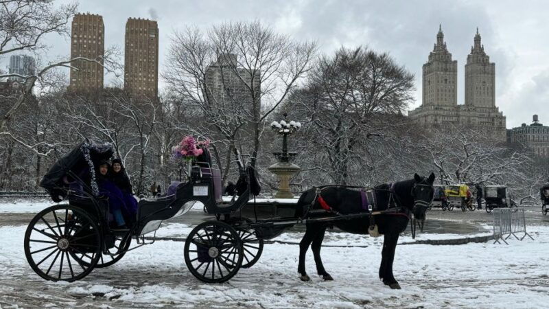 nyc-empire-state-horses-carriage-ride-in-central-park