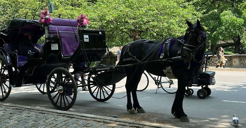 nyc-empire-state-horses-carriage-ride-in-central-park