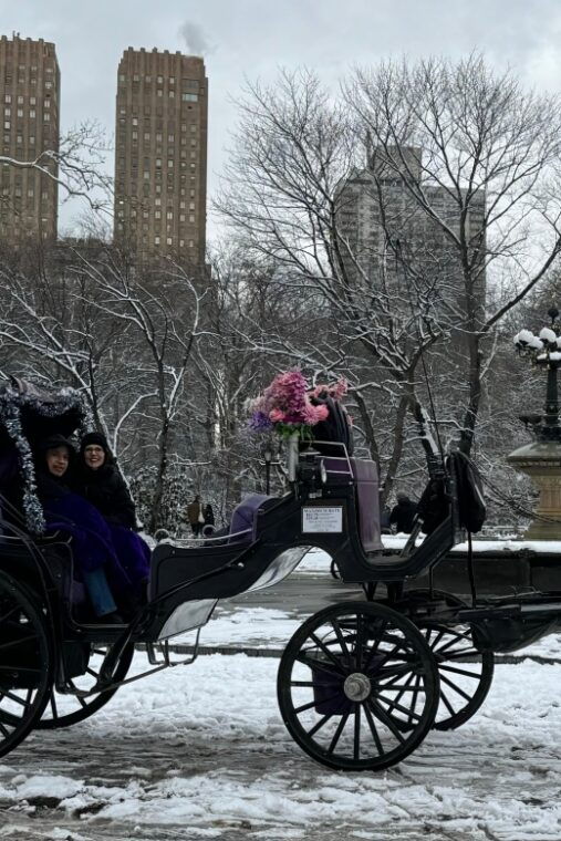 nyc-empire-state-horses-carriage-ride-in-central-park