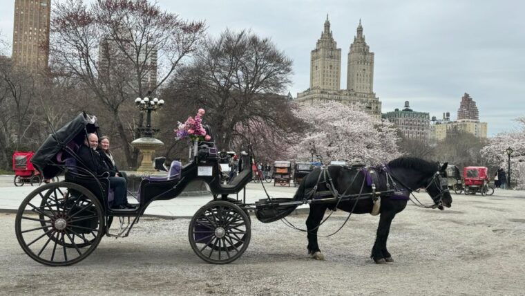 nyc-empire-state-horses-carriage-ride-in-central-park