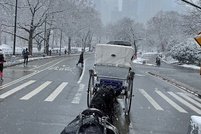 NYC Empire State Horses Carriage Ride in Central Park(55 Min) - Key Points  