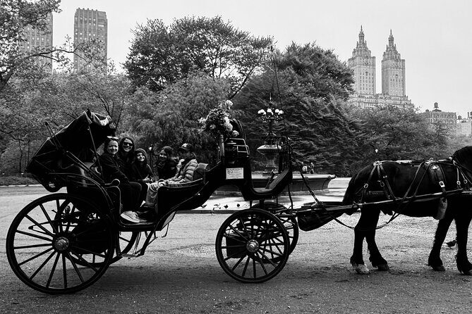 NYC Empire State Horses Carriage Ride in Central Park(55 Min) - Final Thoughts  