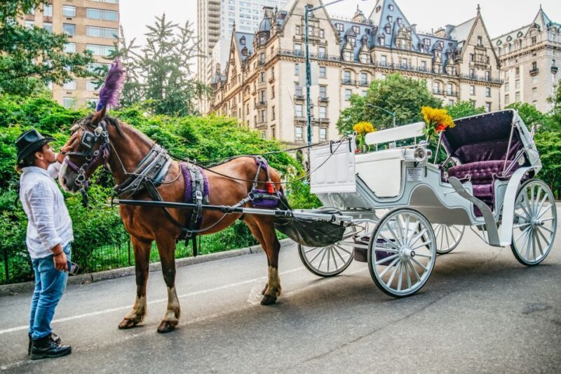 NYC: Guided Central Park Horse Carriage Ride - Discovering the Charm of the Central Park Carriage Ride