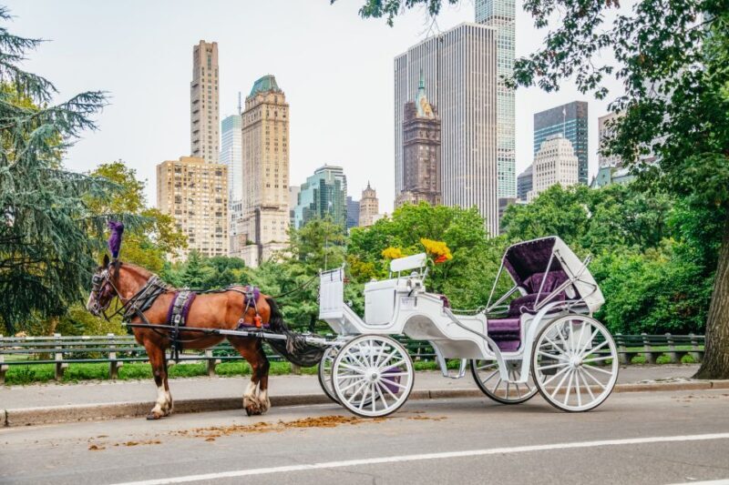 NYC: Guided Central Park Horse Carriage Ride - Final Thoughts: Is the Central Park Horse Carriage Ride Worth It?